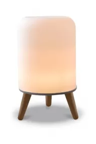 WB725 Lucinda 250ml Glass Ultrasonic Diffuser